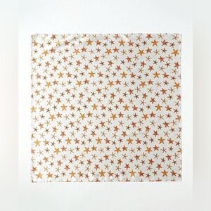 Star Patterned Scarf H1